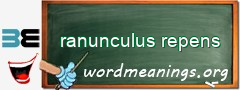 WordMeaning blackboard for ranunculus repens